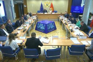 BLOG Božović: predložićemo amandmane na tekst Predloga zakona o ANB