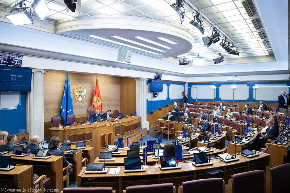 Detalj iz Skupštine, Foto: Skupština Crne Gore