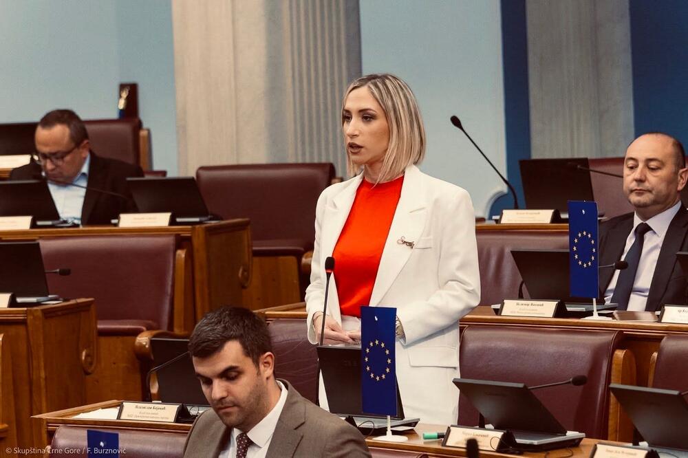 Kaluđerović: Bez vetinga u pravosuđu nema govora o povratku...