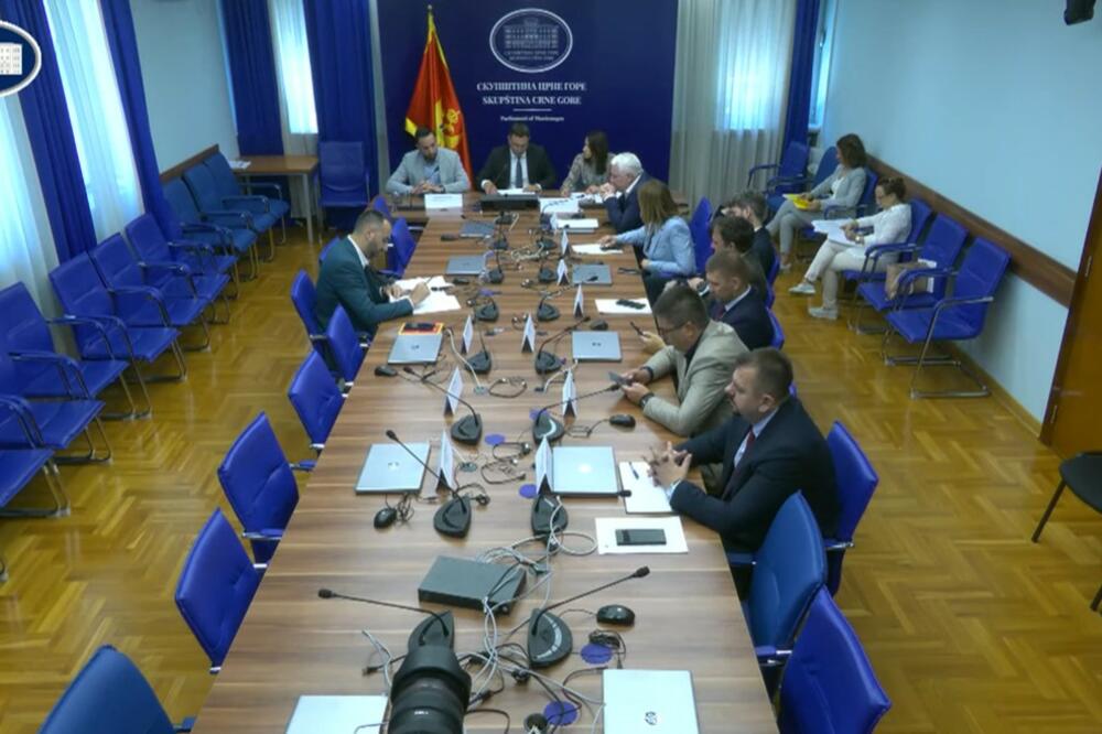 Foto: Screenshot/Youtube/Skupština Crne Gore