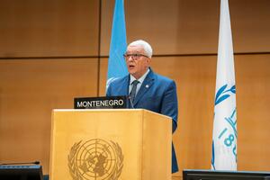 Mandić: Cilj da Crnu Goru učinimo zemljom slobodnih, srećnih i...