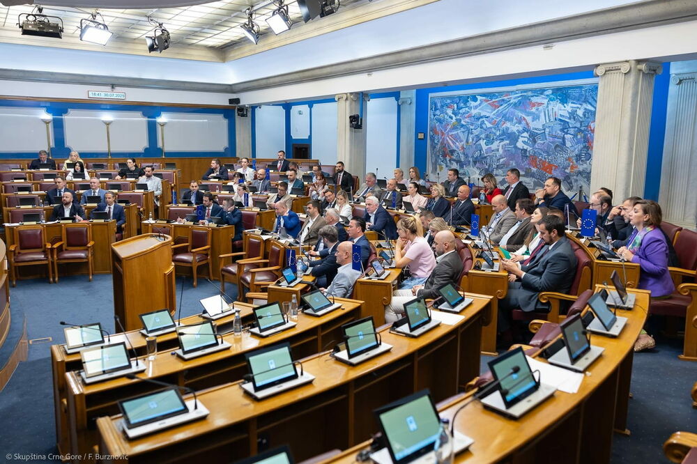 Sa jednog od skupštinskih zasijedanja (arhiva), Foto: Skupština Crne Gore/F.Burzanović
