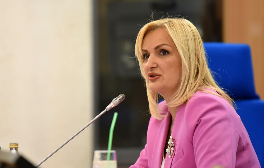 Borovinić Bojović: Svaki oblik pritiska, uvrede ili napada na...