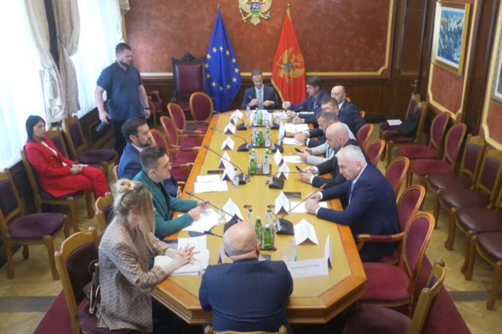 Foto: Skupština Crne Gore/Youtube