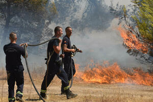 Prirodu čuva još samo riječ: Ima li mjesta strahovima da se požari...