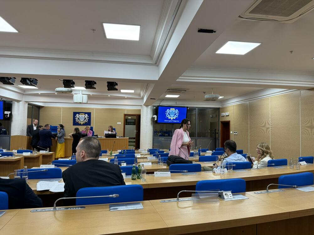 <p>Predsjednica lokalnog parlamenta Jelena Borovinić Bojović je kazala da će o nastavku glasanja svi biti naknadno obaviješteni</p>