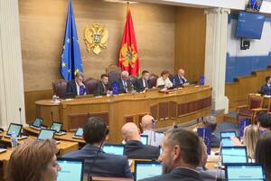 Mandić nije htio da pojasni šta podrazumijeva najavljeno...