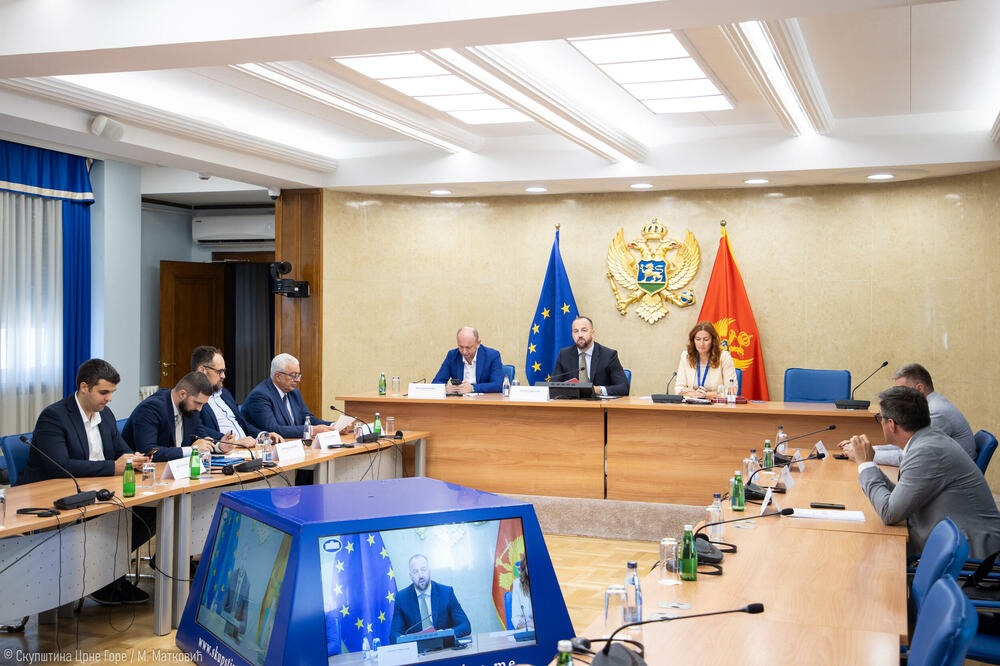 Mogu li pritvorenici ući u parlament: detalj s jučerašnje sjednice Anketnog odbora, Foto: Skupština Crne Gore/M.Matković