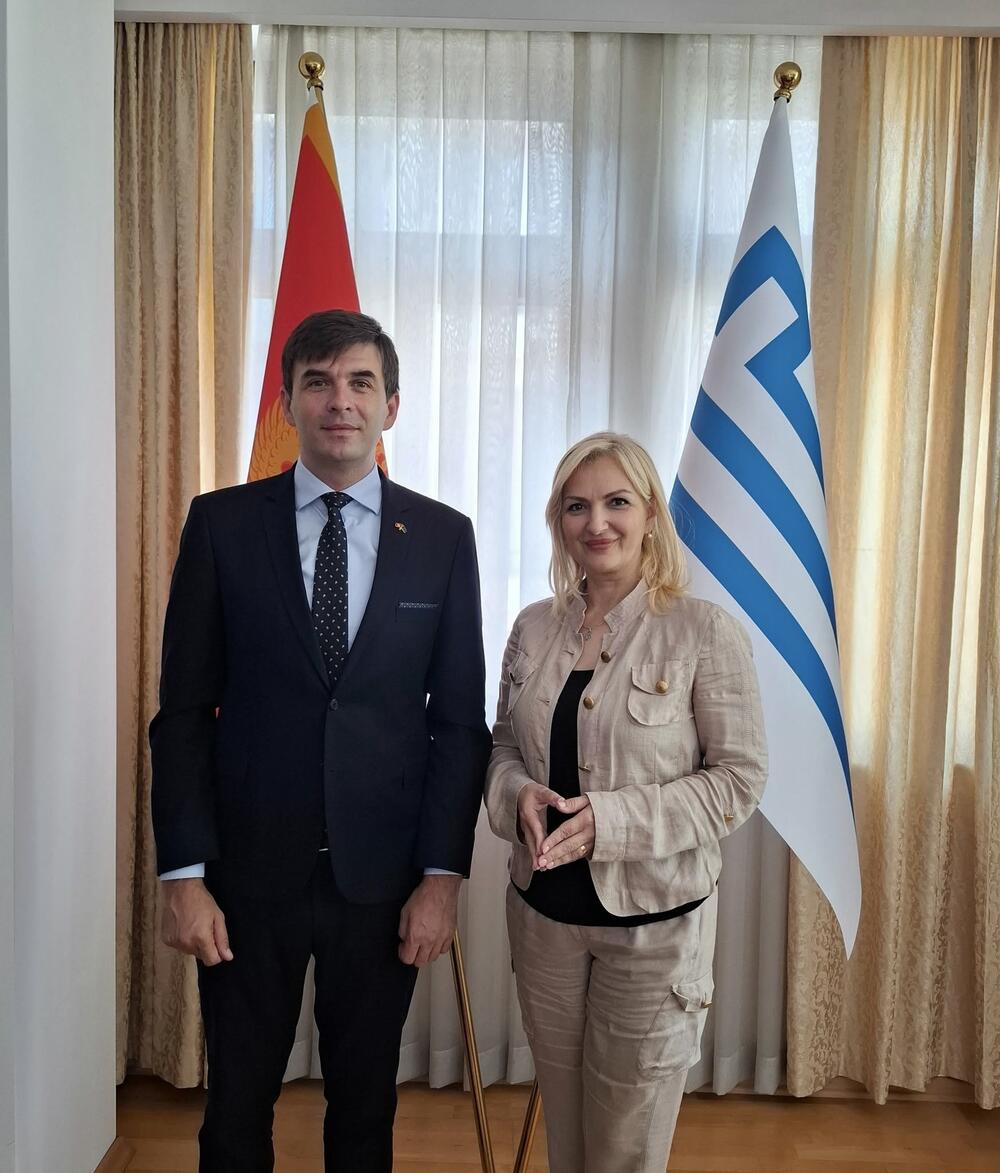 Mirsad Azemović, Jelena Borovinić Bojović