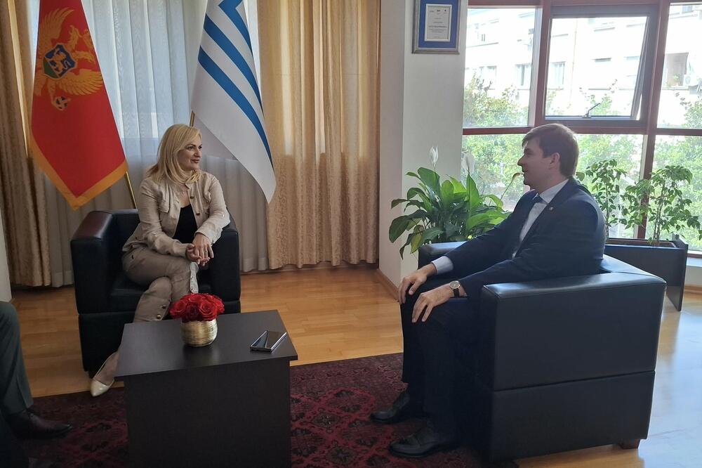 Borovinić Bojović i Azemović, Foto: Ministarstvo dijaspore