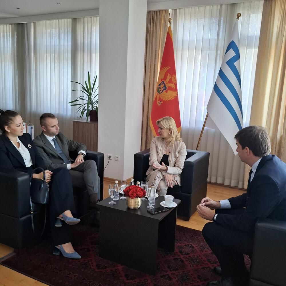 Mirsad Azemović, Jelena Borovinić Bojović