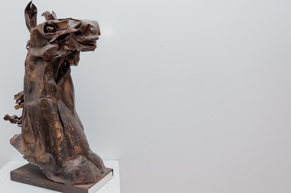 Foto: Dragica Orlandić