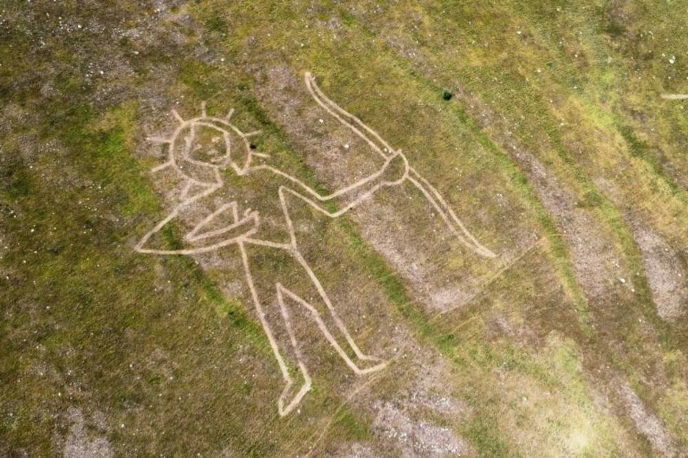 Foto: Wild Beauty Art