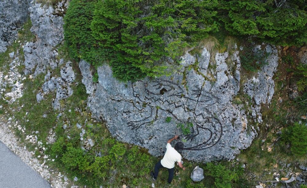 Daždevnjak na stijeni