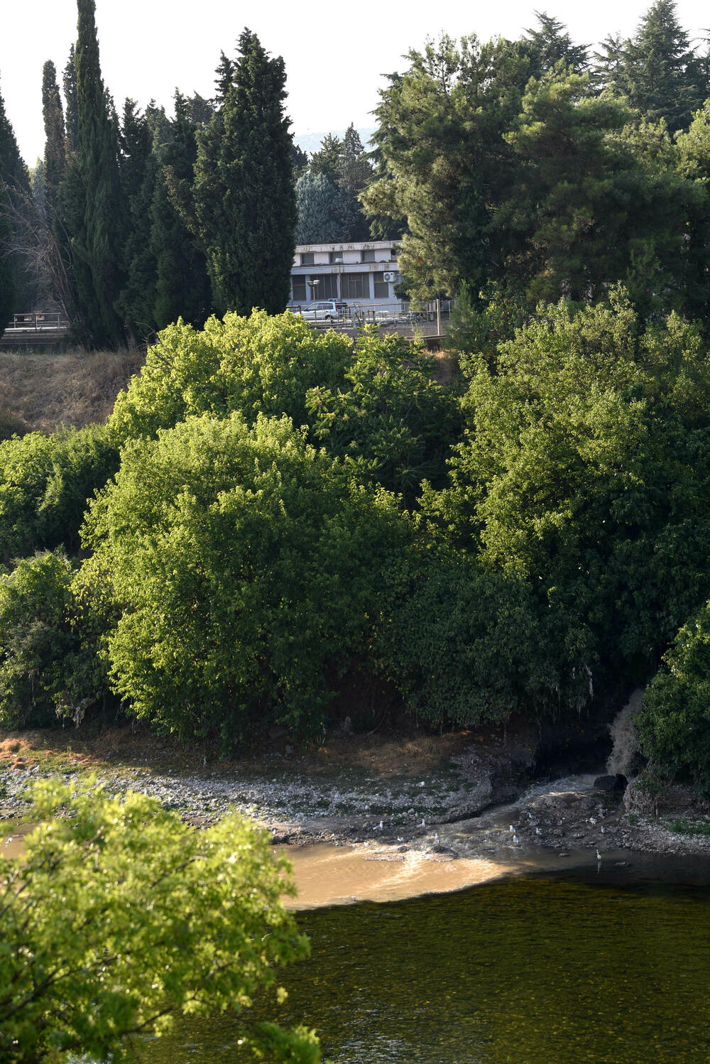 <p>"Prema nalazima stručnjaka, voda ispod uliva ima sivo-žutu boju, izražene neprijatne mirise, prisustvo pjene, skrame, suspendovanih čestica i otpada, dok je hemijska analiza ukazala na prekoračenja graničnih vrijednosti za ključne parametre kao što su biološka potrošnja kiseonika, ukupni organski ugljenik, azotni i fosforni spojevi"</p>