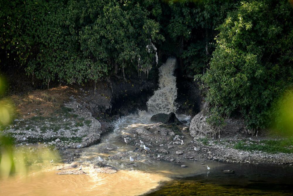 <p>"Prema nalazima stručnjaka, voda ispod uliva ima sivo-žutu boju, izražene neprijatne mirise, prisustvo pjene, skrame, suspendovanih čestica i otpada, dok je hemijska analiza ukazala na prekoračenja graničnih vrijednosti za ključne parametre kao što su biološka potrošnja kiseonika, ukupni organski ugljenik, azotni i fosforni spojevi"</p>