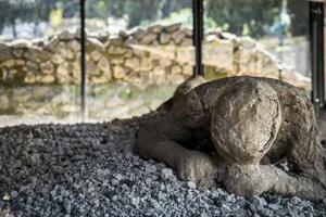 Život u ruševinama: Ljudi su se vratili u Pompeju posle erupcije