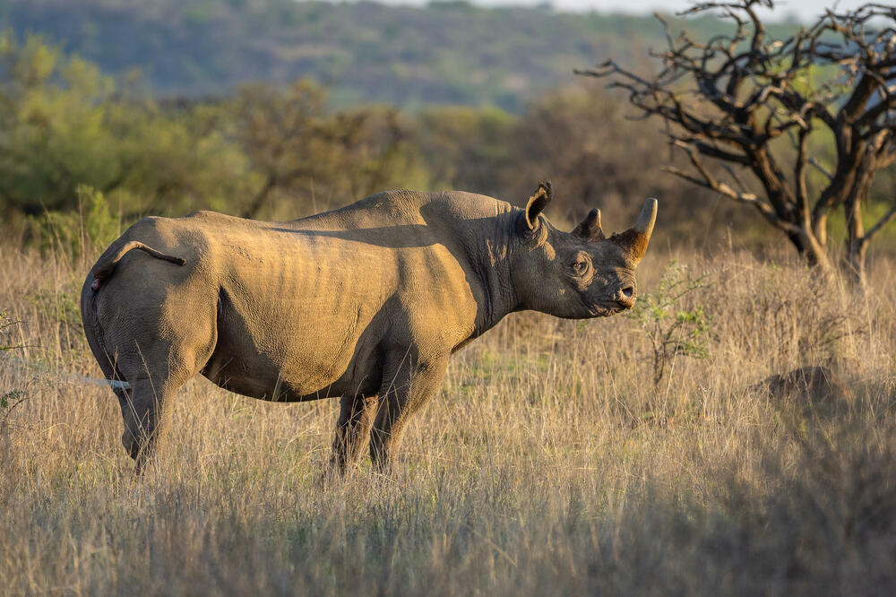 Ilustracija, Foto: Shutterstock