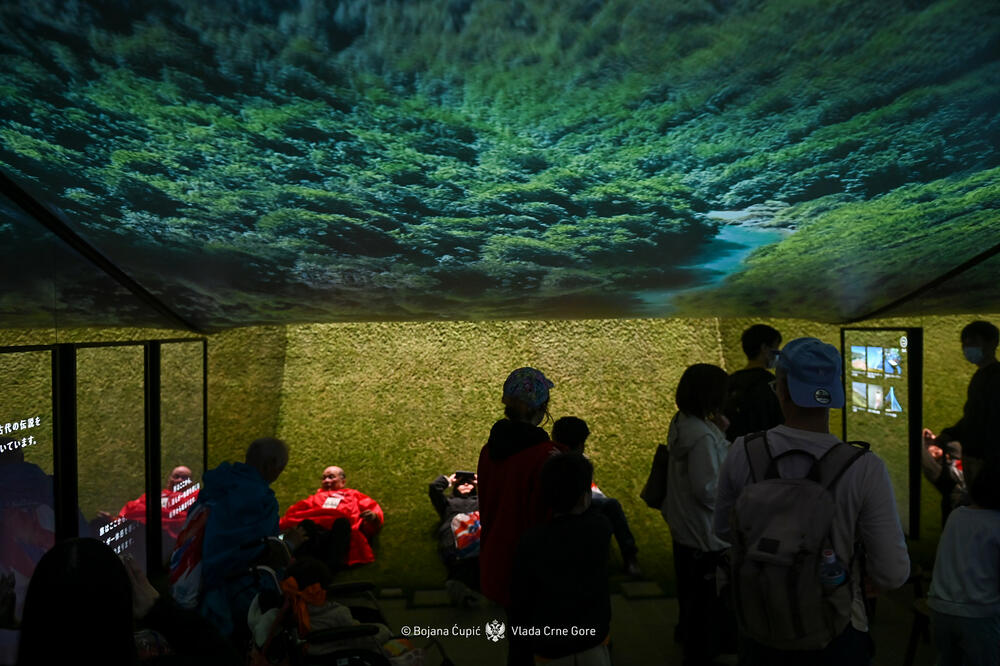 Foto: Bojana Ćupić/Vlada Crne Gore