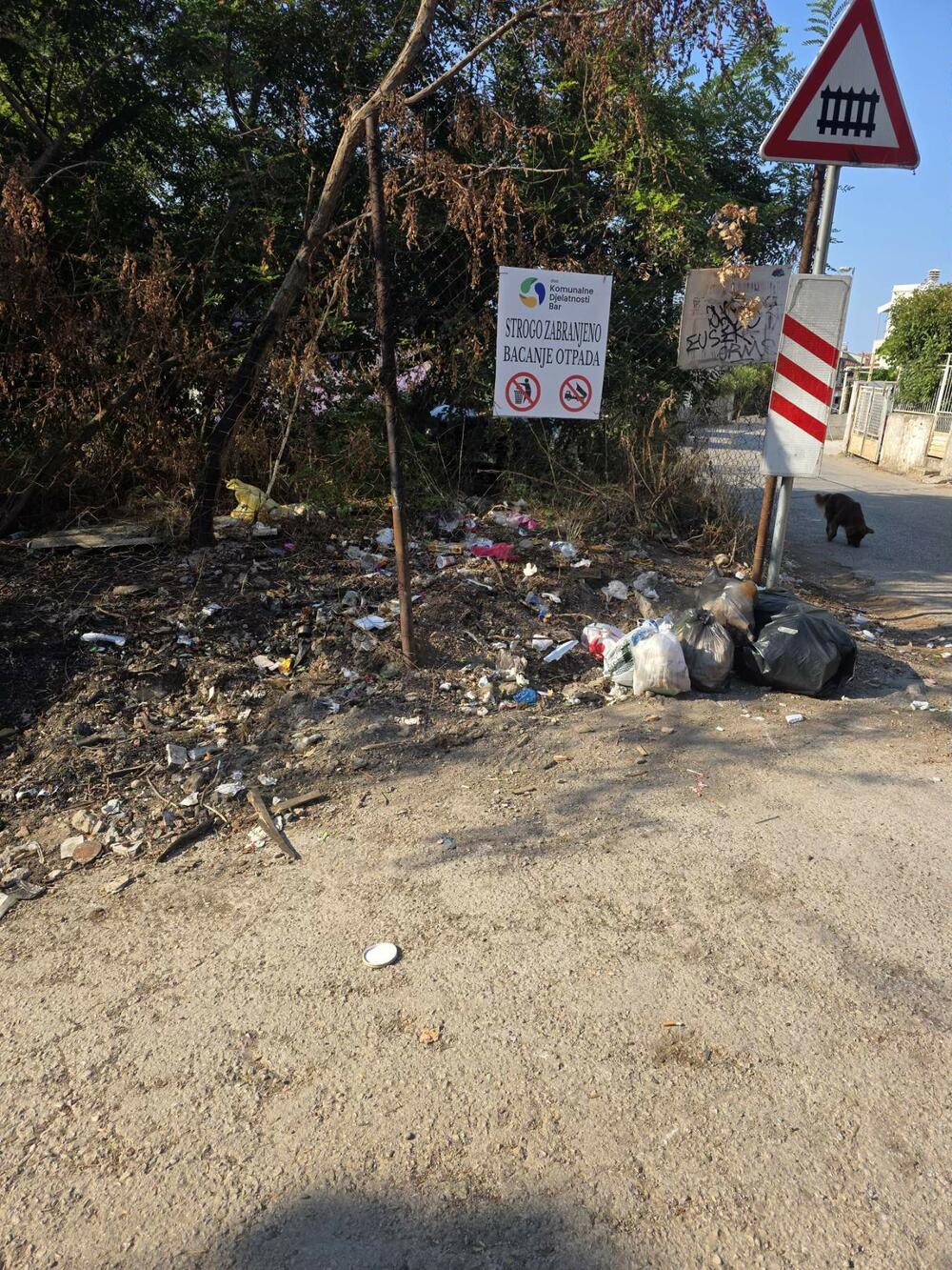 Fotografija koju je dostavila Ćinćur