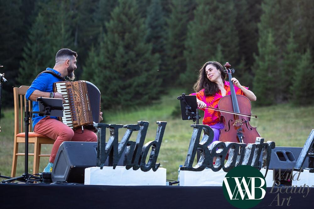 <p>Koncert na Wild Beauty Art festivalu u subotu veče, donio spoj muzičkih tradicija i savremenih uticaja</p>