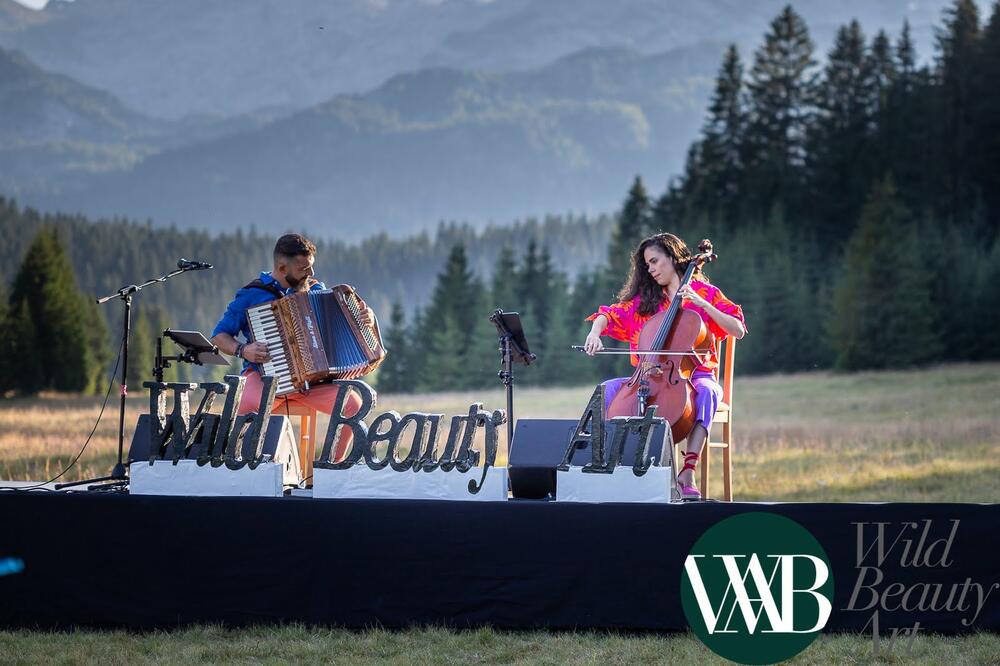 Sa koncerta, Foto: Dejan Dajković / WBA festival