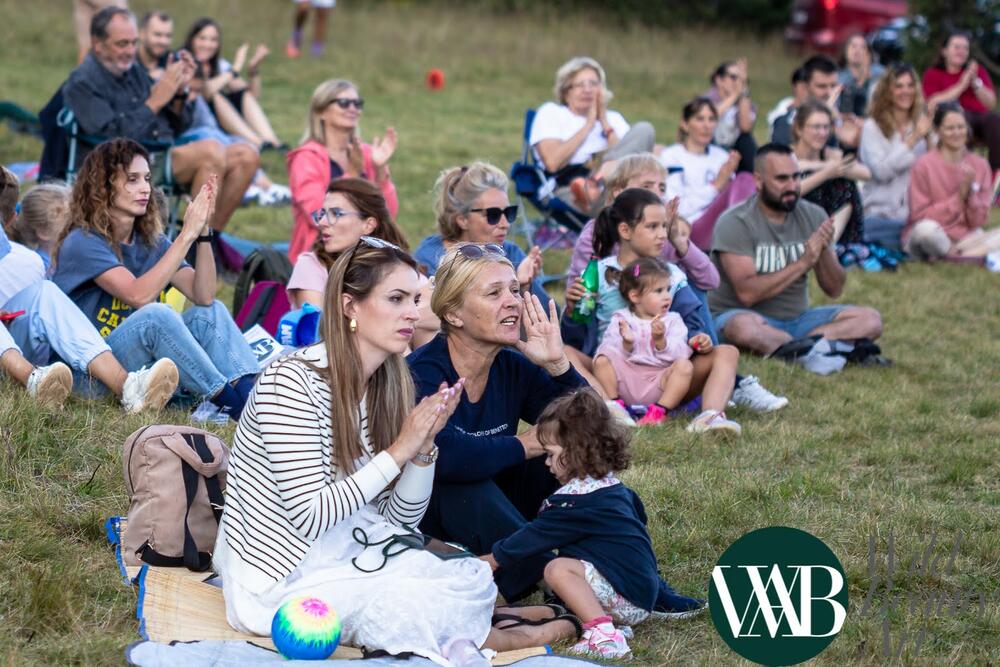 <p>Koncert na Wild Beauty Art festivalu u subotu veče, donio spoj muzičkih tradicija i savremenih uticaja</p>