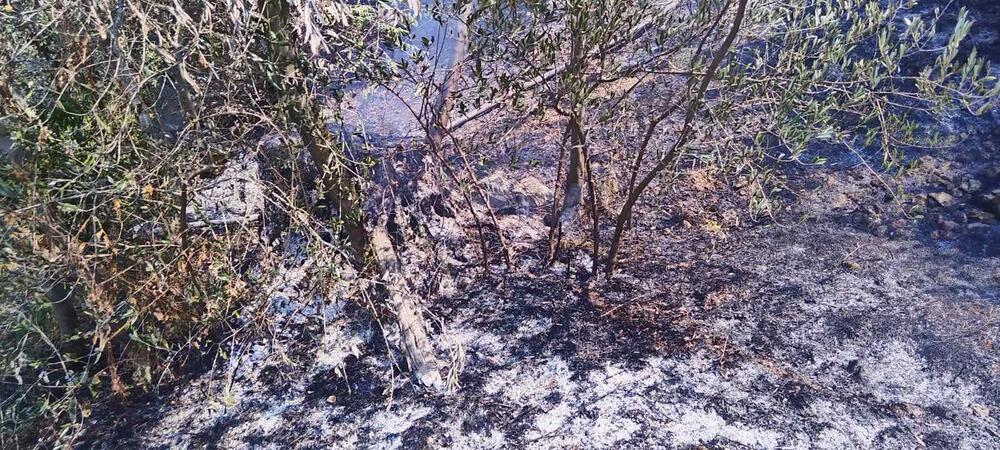 <p>Put Budva - Bar u mjestu Kufin je do jutros bio zatvoren zbog požara</p>