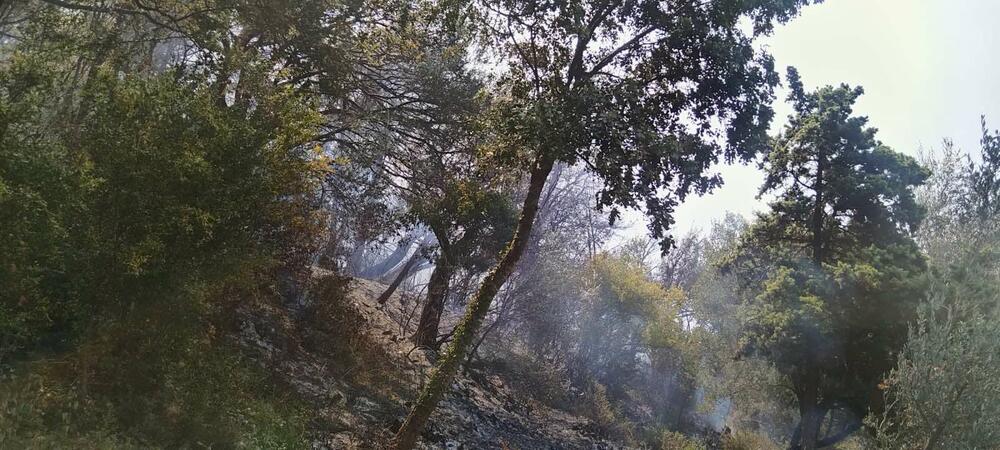 <p>Put Budva - Bar u mjestu Kufin je do jutros bio zatvoren zbog požara</p>