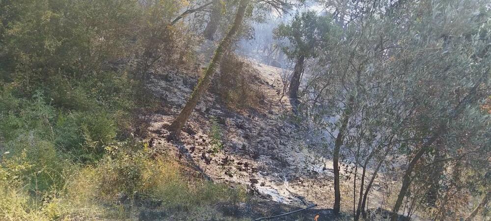 <p>Put Budva - Bar u mjestu Kufin je do jutros bio zatvoren zbog požara</p>