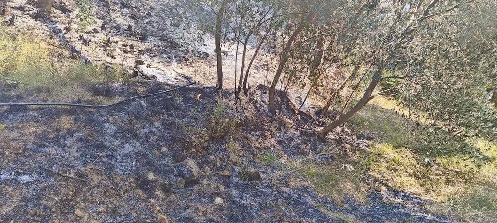 <p>Put Budva - Bar u mjestu Kufin je do jutros bio zatvoren zbog požara</p>