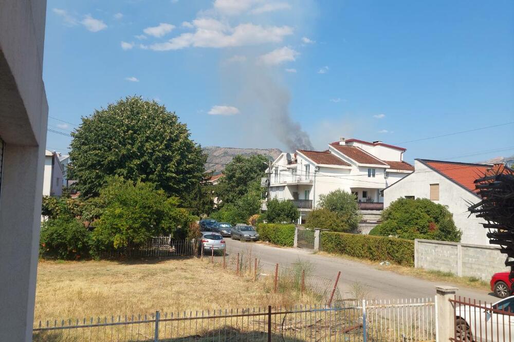 Foto: Privatna arhiva