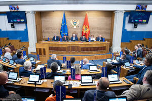 Ceh za putovanja 880.000 eura: Sve veći troškovi poslanika