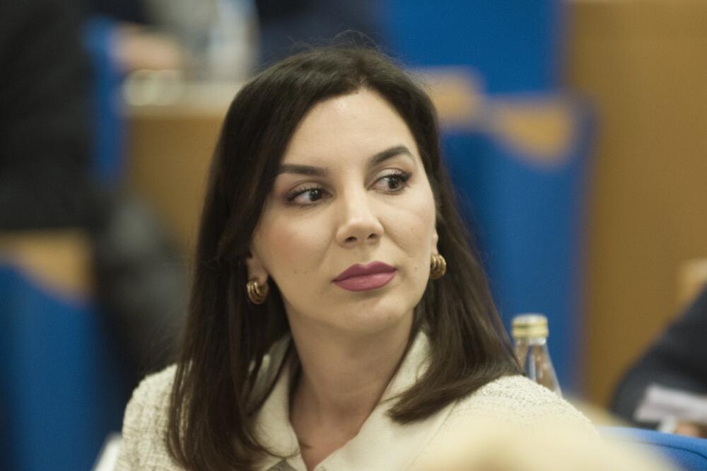 Mićović, Foto: Pokret Evropa sad