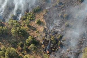 Boje jutra: Hoće li požari ostaviti trajne rane prirodi Crne Gore?