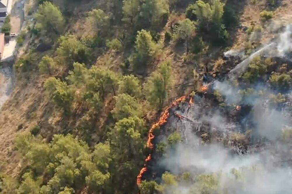 Ilustracija, Foto: Screenshot