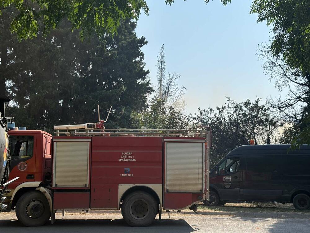 <p>Svi požari, u izuzetno teškim uslovima i tokom jakog sjevernog vjetra, prošli su bez ljudskih žrtava ili ozbiljnih povreda</p>