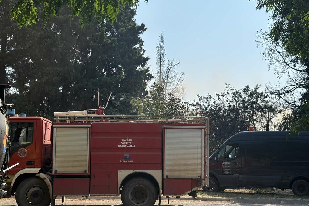 Foto: Marija Pešić