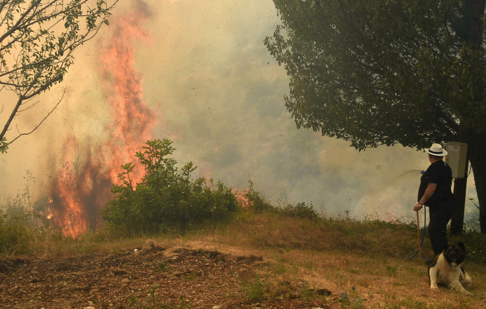 <p>Premijer je izrazio saučešće porodici stradalog vojnika Dejana Božovića. Kazao je i da će Ministarstvo finansija odobriti do kraja dana sva dodatna sredstva koja su potrebna da bi se prihvatili dodatni ljudi i oprema iz inostranstva. "Teško je gledati Podgoricu u plamenu", kazao je gradonačelnik Saša Mujović</p>