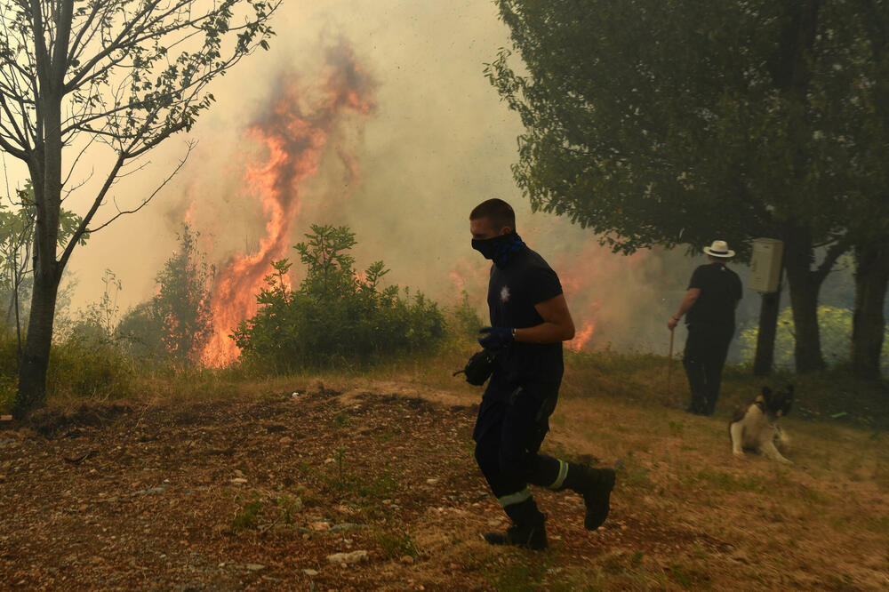 Foto: Boris Pejović