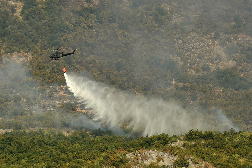 Foto: Boris Pejović