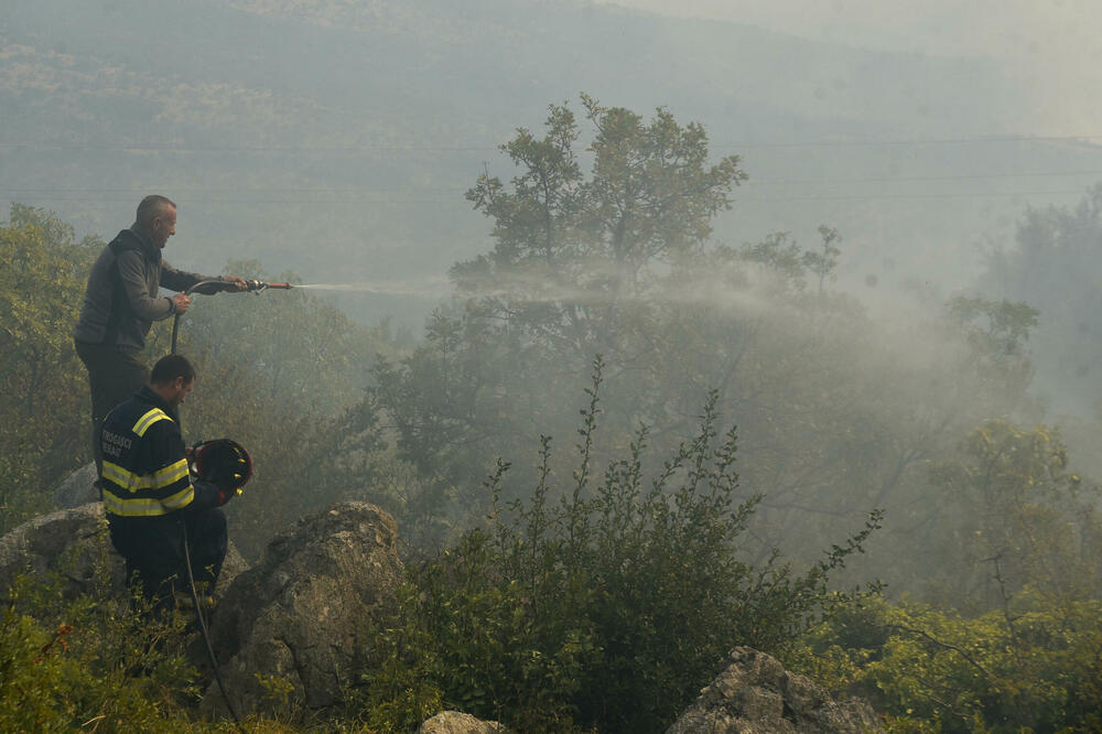 Foto: Boris Pejović