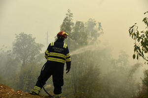 Luštica Development izdvojila 10.000 eura za nabavku opreme...