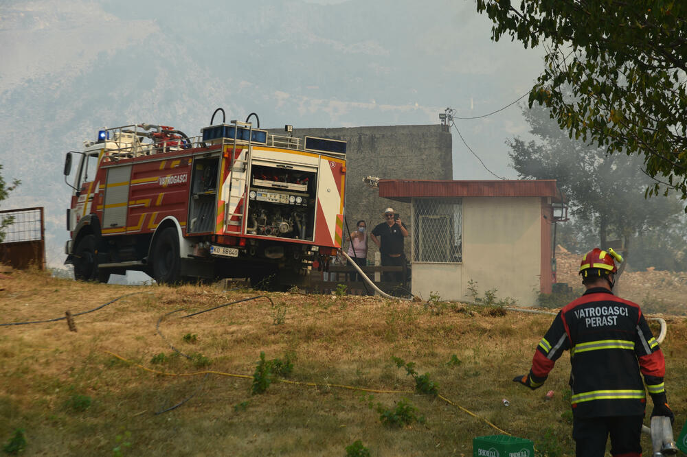 Foto: Boris Pejović