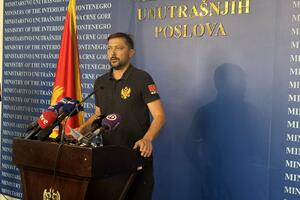 Vojinović: Stanje sa požarima u Crnoj Gori najkompleksnije u...