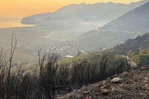 Božović: Buljarica mirna, ekipe cijelu noć i danas na terenu, gase...