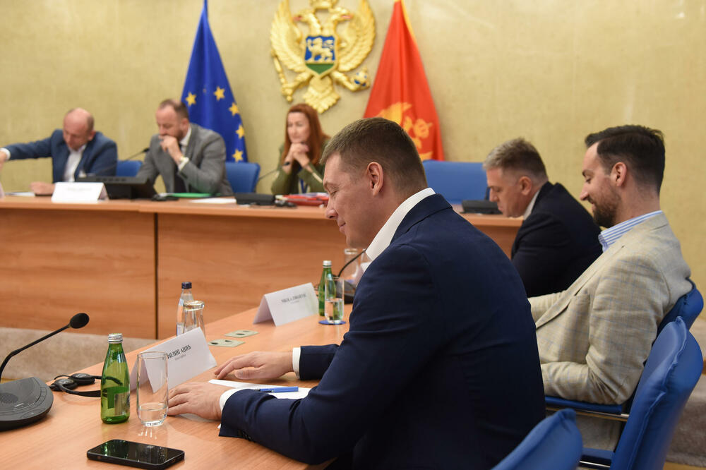 Vlast nastupa kao da je još u opoziciji: s jedne od sjednica odbora koji se bavi slučajevima navodno politički motivisanih ubistava, Foto: Luka Zekovic