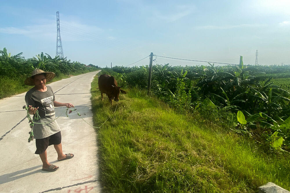 Zemljište na kojem je planiran golf teren, Foto: Rojters