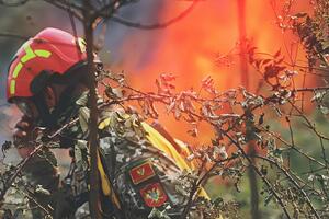 Vojska angažovana na gašenju požara iz vazduha i sa kopna