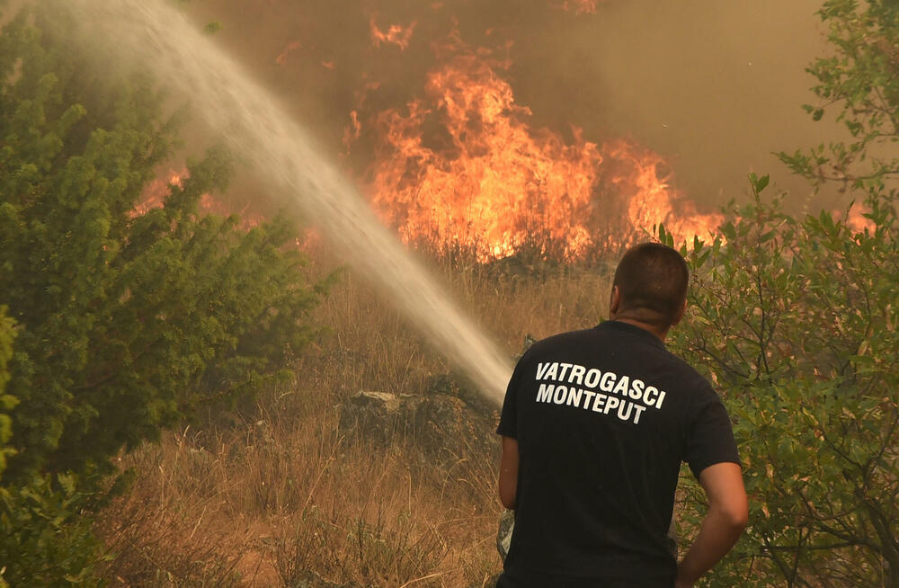<p>U gašenju požara učestvovali su i vojnici, ali i dobrovoljci, podršku su imali i iz vazduha</p>